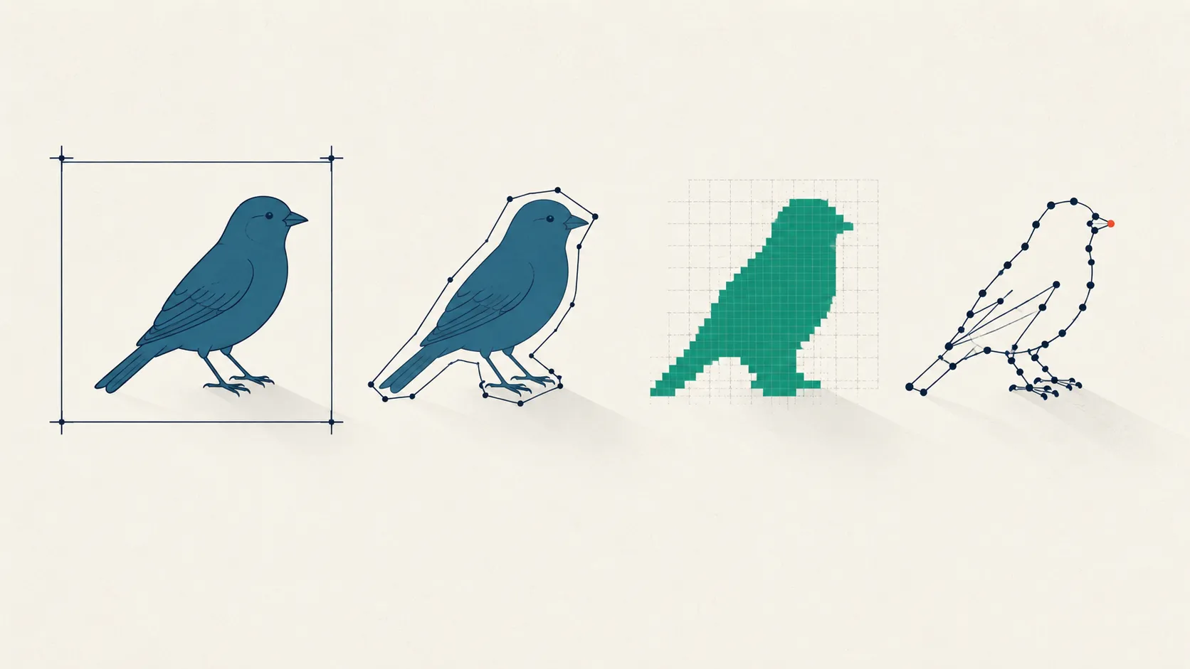 The same stylized bird annotated four ways in sequence—a coarse bounding box, a polygon outline, a filled pixel mask, and a set of connected keypoints—showing annotation precision rising from left to right.